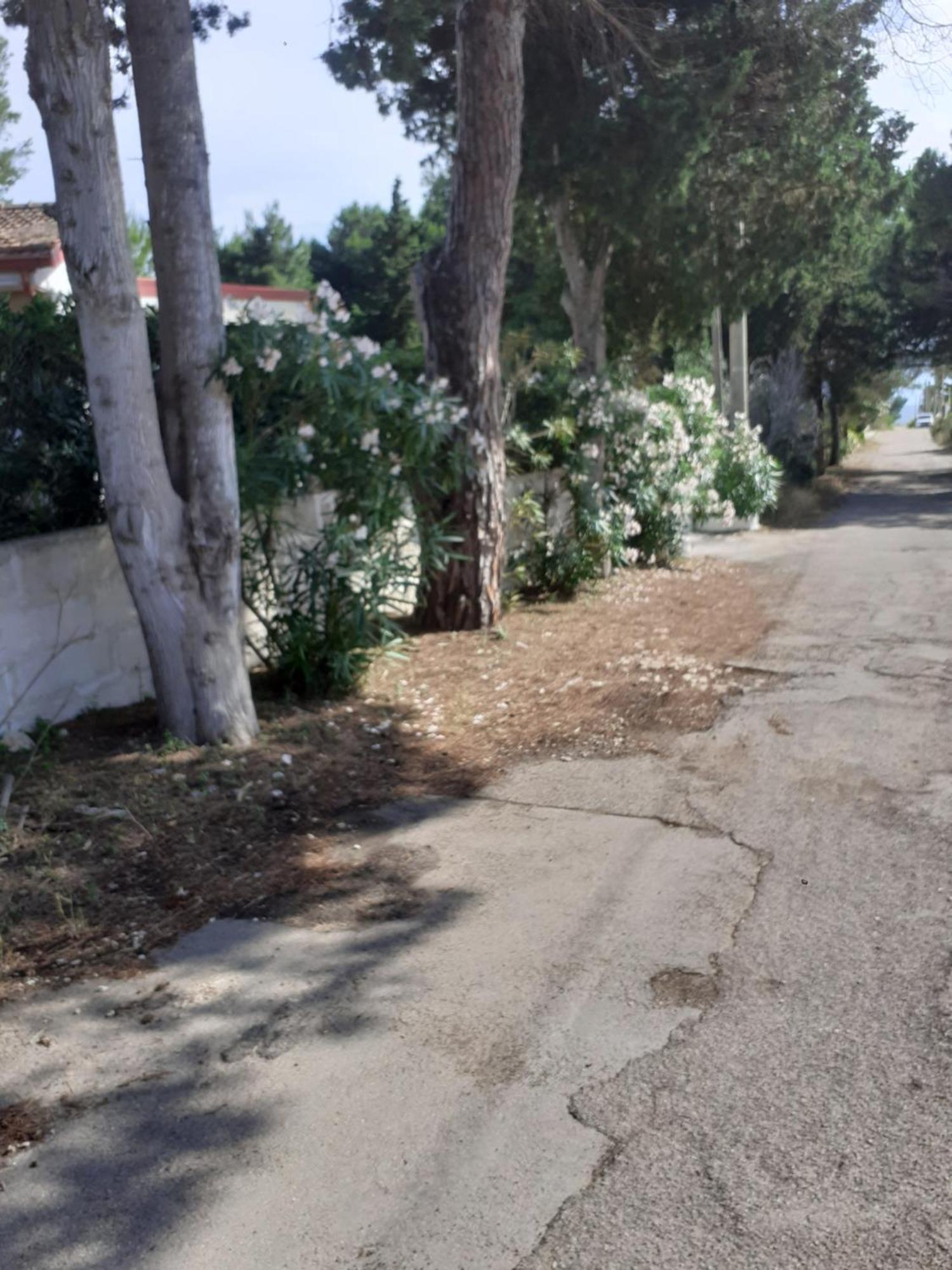 Villetta Dei Fiori, Vicino Spiaggia Di Punta Pizzo Gallipoli Luaran gambar